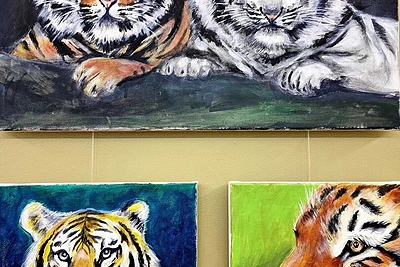 Česlovo Norvaišos paroda „Tigras“ / Asmeninio albumo nuotr.