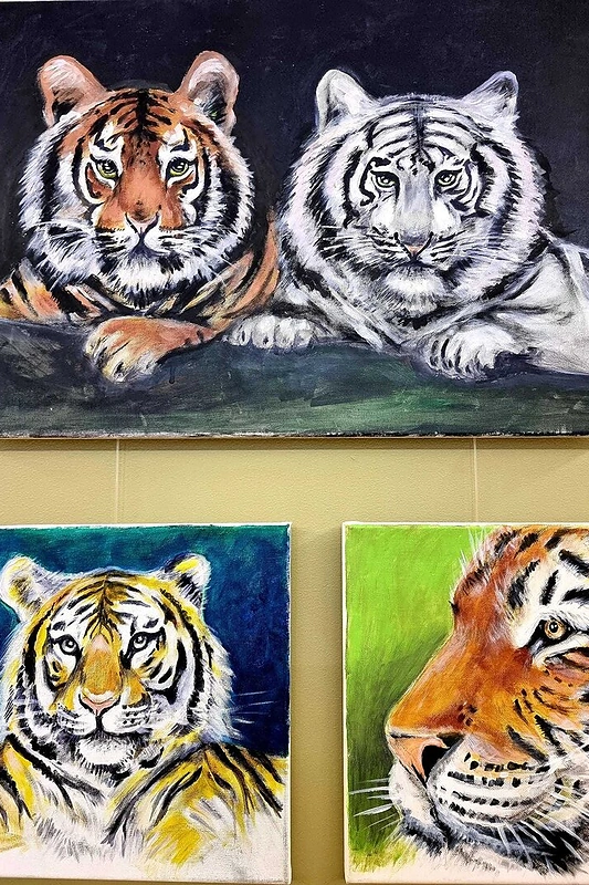 Česlovo Norvaišos paroda „Tigras“ / Asmeninio albumo nuotr.