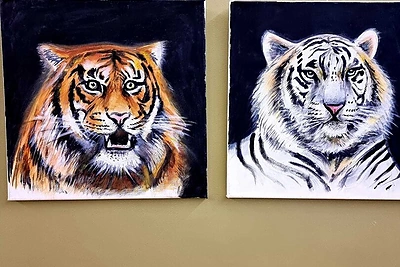 Česlovo Norvaišos paroda „Tigras“ / Asmeninio albumo nuotr.