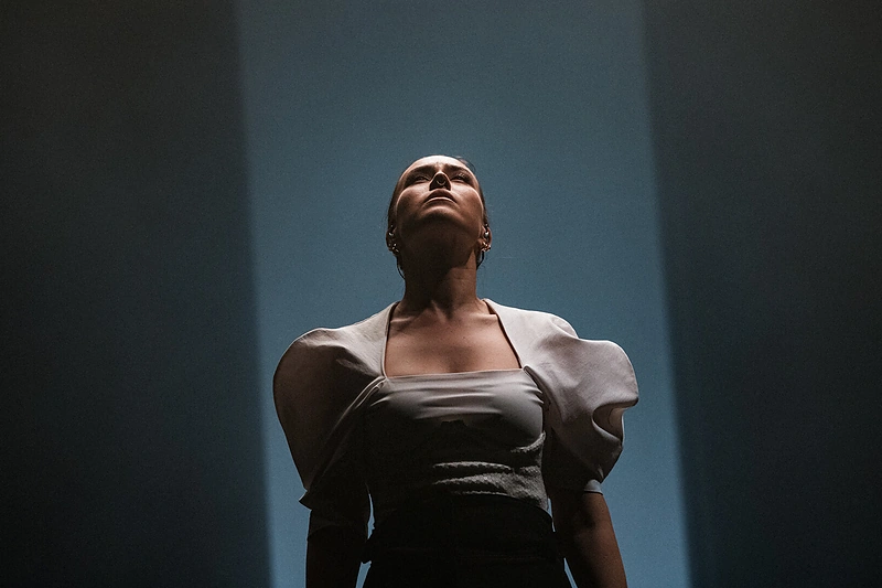 Evgenyos Redko koncerto akimirka