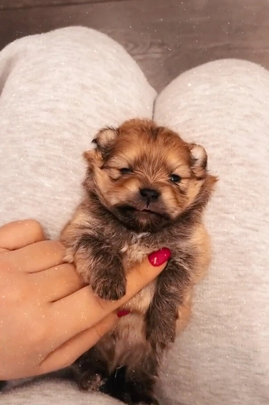 Mildos Ulpytės vaizdo įrašo kadras