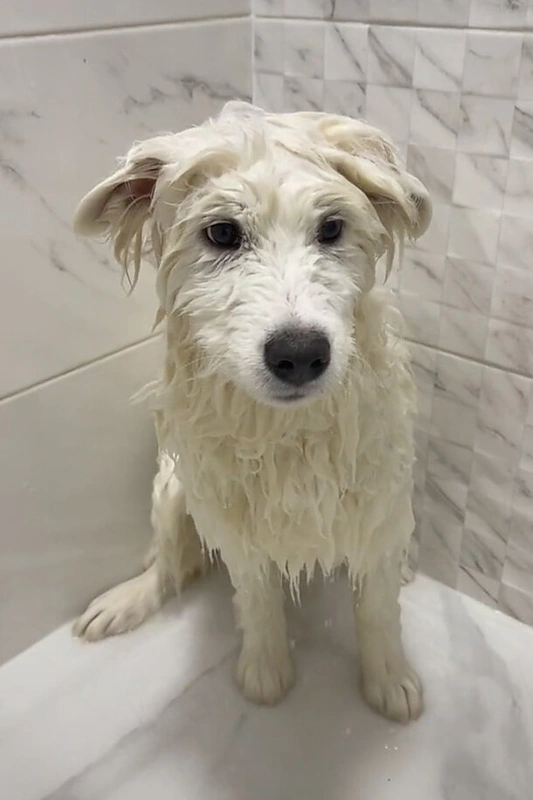 Mildos Ulpytės vaizdo įrašo kadras