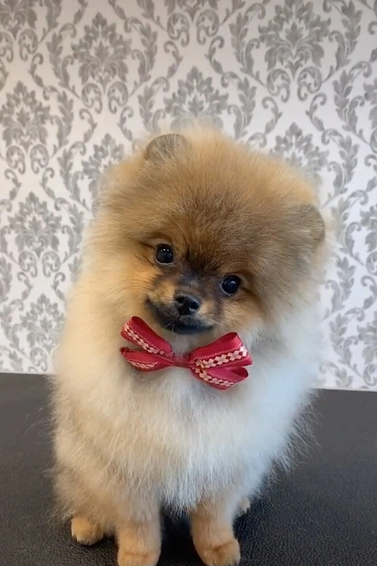 Mildos Ulpytės vaizdo įrašo kadras