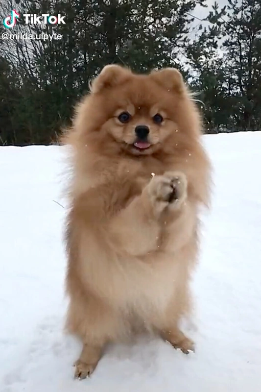 Mildos Ulpytės vaizdo įrašo kadras