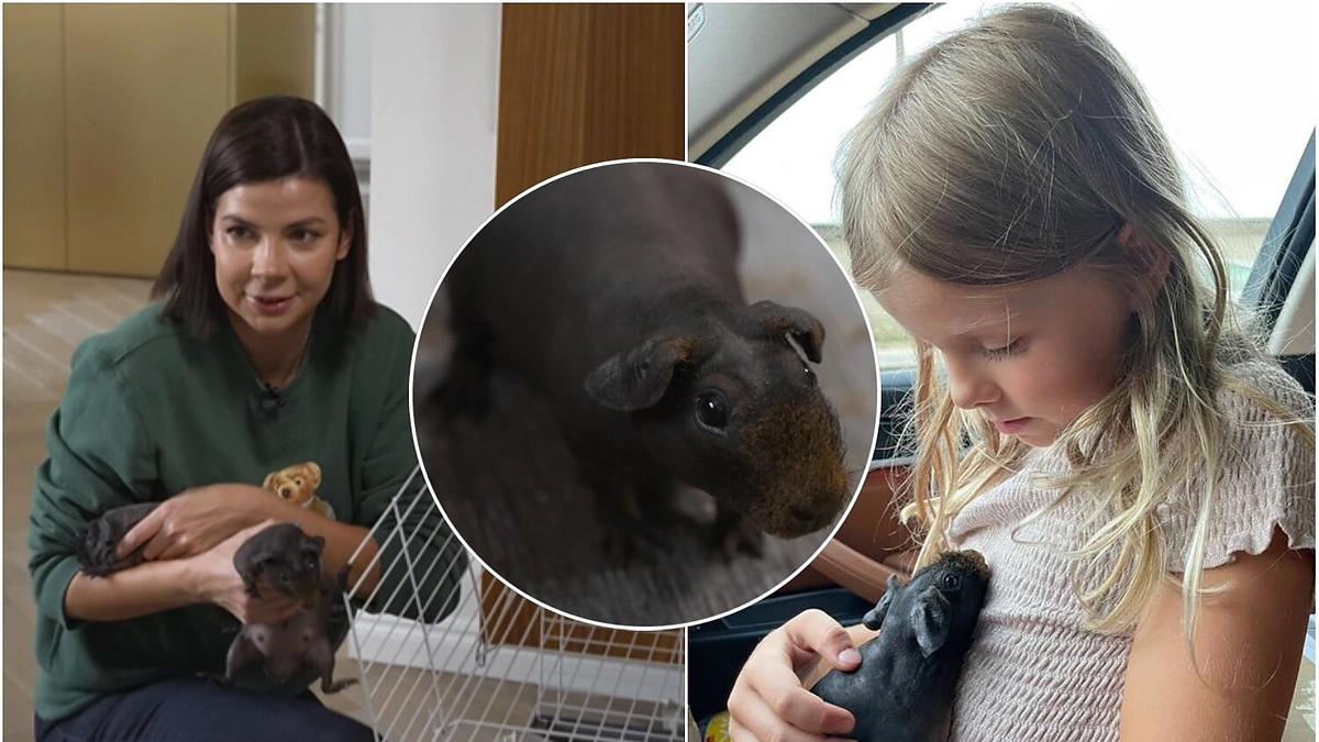 Karolina Liukaitytė su dukra ir augintinėmis / LNK nuotr.