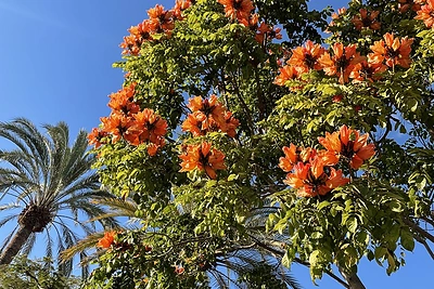 Ingridos Martinkėnaitės atostogų akimirka / Asmeninio archyvo nuotr.