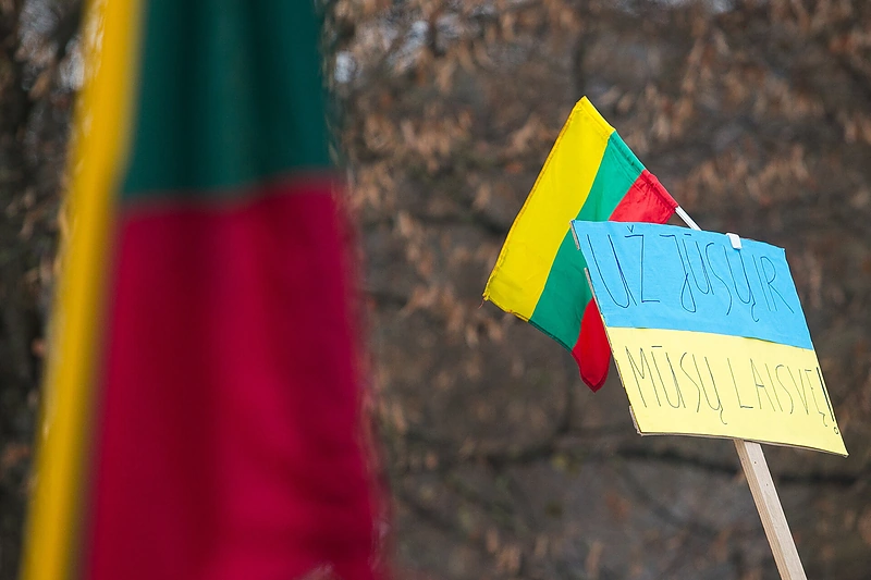 Lietuvos ir Ukrainos vėliavos / Irmanto Gelūno nuotr.
