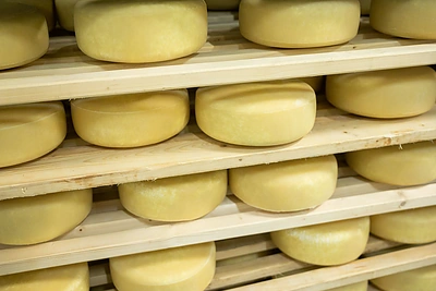 Tokiais sūriais didžiuotųsi patys italai – kokia Rokiškyje įsikūrusios įmonės sėkmės paslaptis?