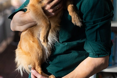 Arūnas Matačius / Gretos Skaraitienės nuotr.