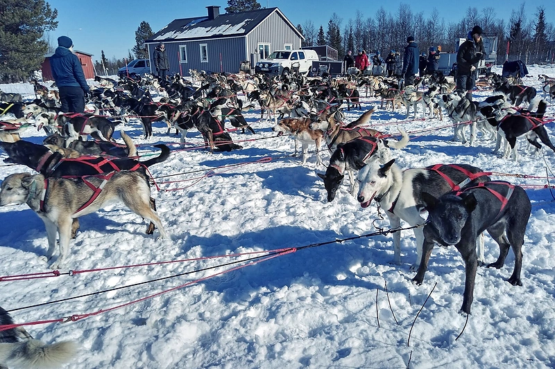 Šiaurėje / Asmeninio albumo nuotr.