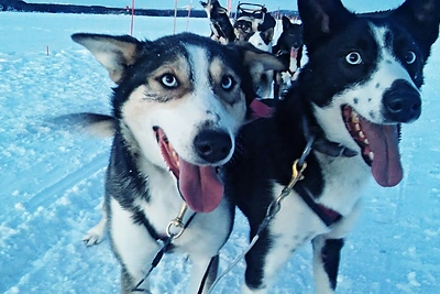 Šiaurėje / Asmeninio albumo nuotr.