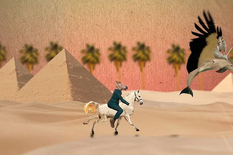 Dainos „Varau kaip arklys“ vaizdo klipo kadras