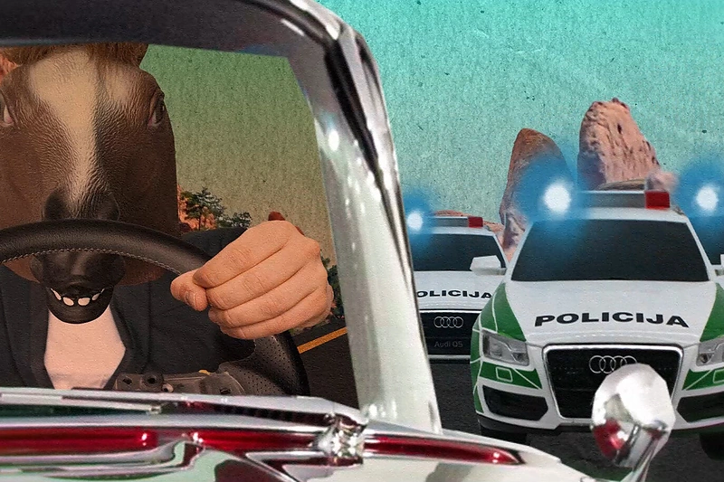 Dainos „Varau kaip arklys“ vaizdo klipo kadras