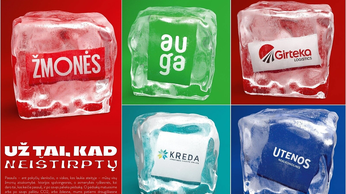 Tvarumo iššūkių išsikėlusios įmonės „užsišaldė“ lede