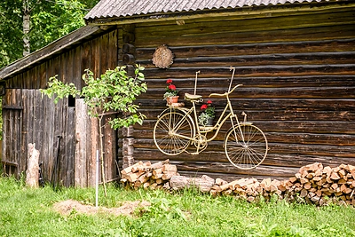 Norvilų kelionės į Kazlų Rūdą akimirka / Tomo Petrovskio nuotr.