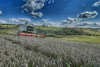 Petro Šiaučiuno ūkis / Asmeninio albumo nuotr.
