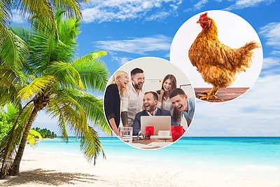 Testas: ar žinote, kur daugiausiai vitamino D? 10 rimtų ir juokingų klausimų