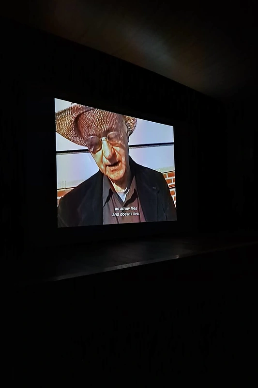 „Purpurinis vakaras“ Anykščiuose / Juozo Žitkausko nuotr.