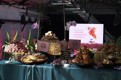 Festivalis „Motherhood is sexy“ / Agnės Bekeraitytės ir Veronikos Gendreikienės nuotr.