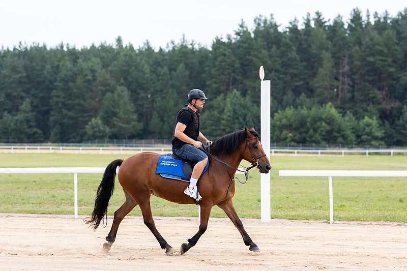 Marijonas Mikutavičius / Lukas Balandis / BNS nuotr.