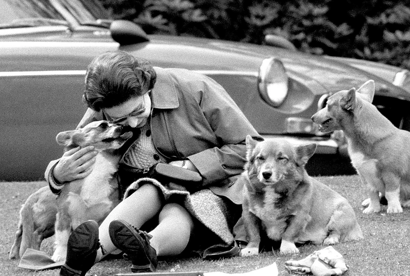 Karalienė Elizabeth II ir jos numylėti korgiai / „Scanpix“/AP nuotr.