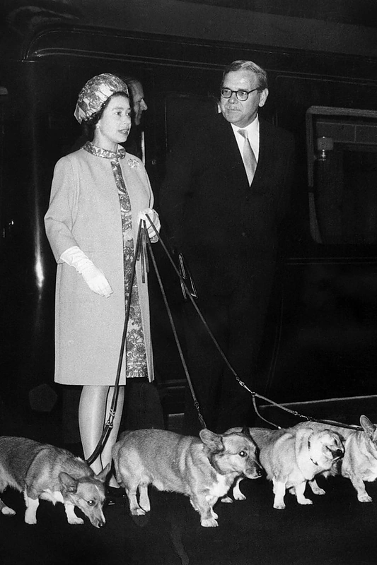 Karalienė Elizabeth II su savo keturiais augintiniais / AFP/„Scanpix“ nuotr.