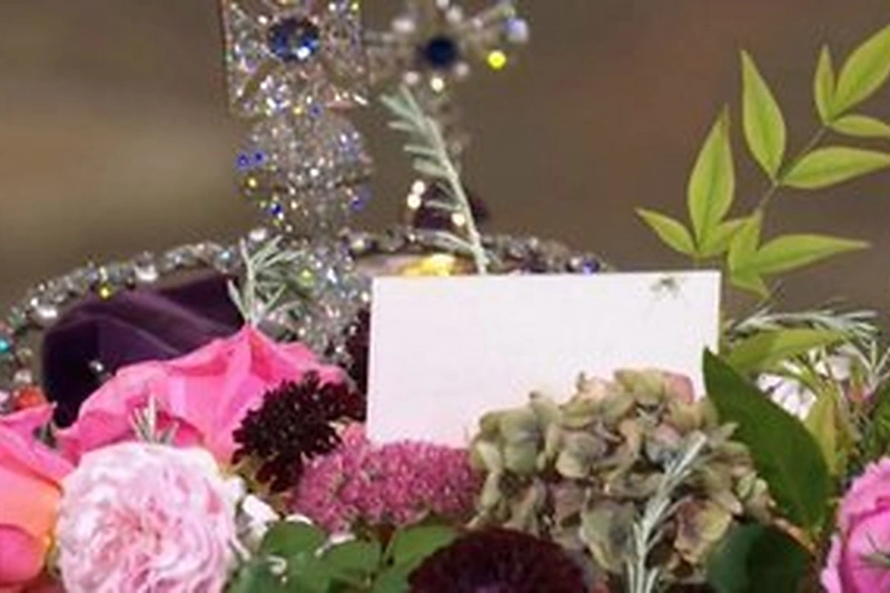 Voras ant karalienės Elizabeth II karsto / stop kadras