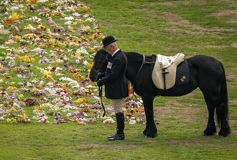 Elizabeth II laidotuvėse pagarbą atidavė jos augintiniai / AFP/„Scanpix“ nuotr.