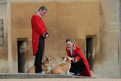 Elizabeth II laidotuvėse pagarbą atidavė jos augintiniai / AFP/„Scanpix“ nuotr.