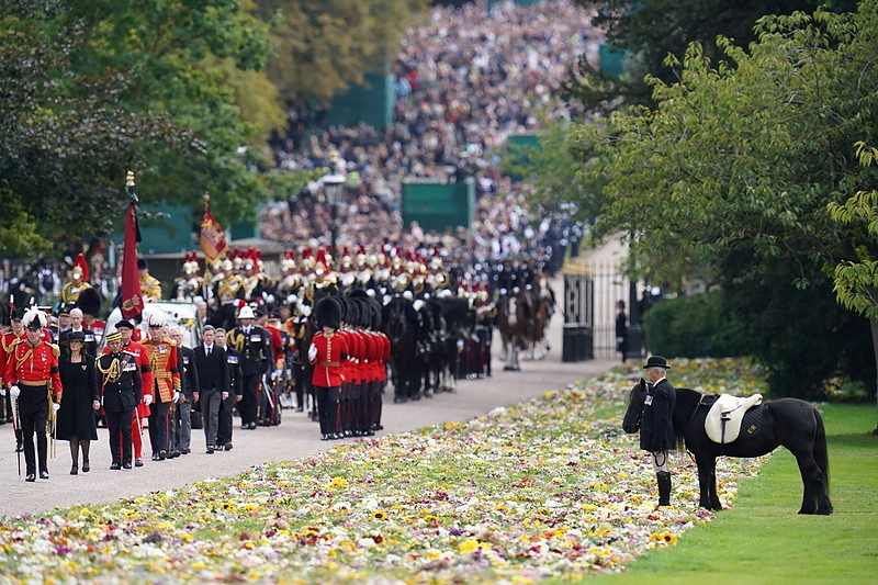 Elizabeth II laidotuvėse – karalienės ponis Emma / „Scanpix“ nuotr.