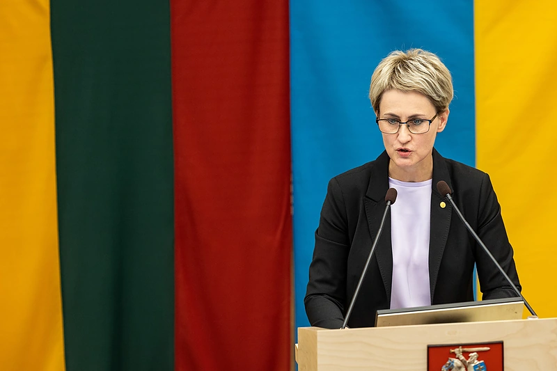 Nida Grunskienė / Pauliaus Peleckio / BNS nuotr.