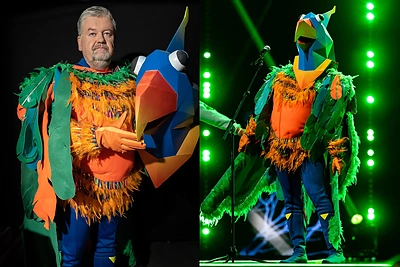 Po Papūgos kauke slėpėsi krepšinio komentatorius V.Čeponis: „Man ant ausies užlipęs dramblys“