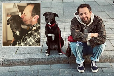 „Sisters On Wire“ vokalistas priglaudė sergančią kalytę: akimirką norėjo ją grąžinti