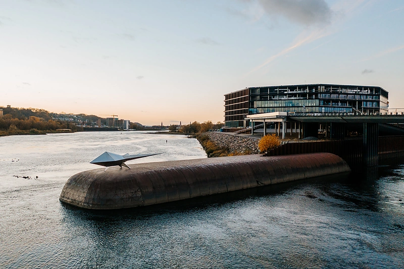 Mitinis žvėris / Gražvydo Jovaišos nuotr.