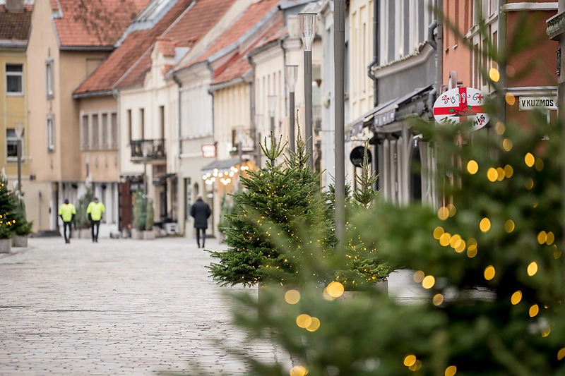 Puošiama Vilniaus gatvė Kaune / Kauno miesto savivaldybės nuotr.
