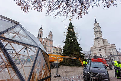Kauno Kalėdų eglės pristatymas / Eriko Ovčarenko / BNS nuotr.