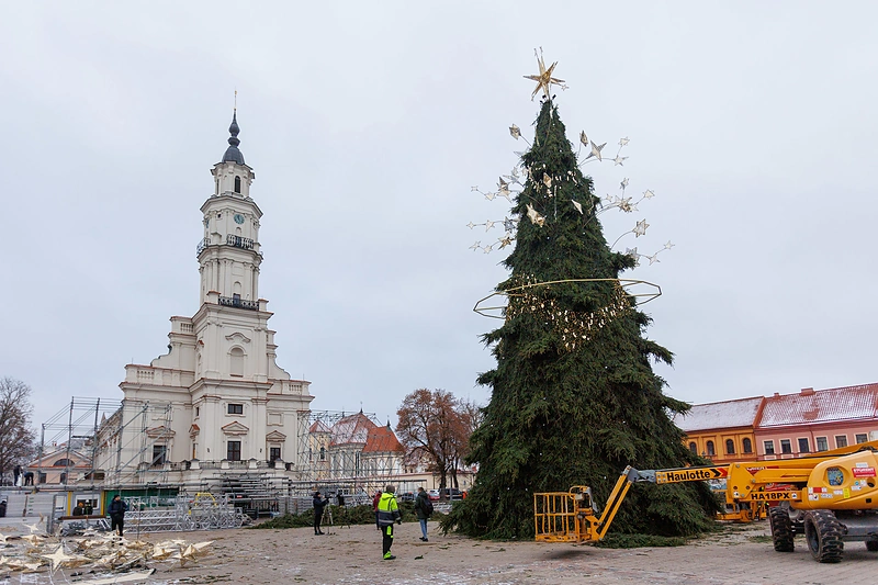 Kauno Kalėdų eglės pristatymas / Eriko Ovčarenko / BNS nuotr.