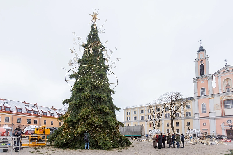 Kauno Kalėdų eglės pristatymas / Eriko Ovčarenko / BNS nuotr.
