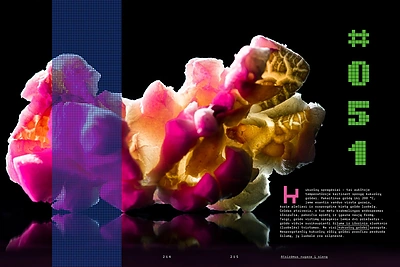 Alfo Ivanausko knyga „Malda skoniui“ / Asmeninio albumo nuotr.