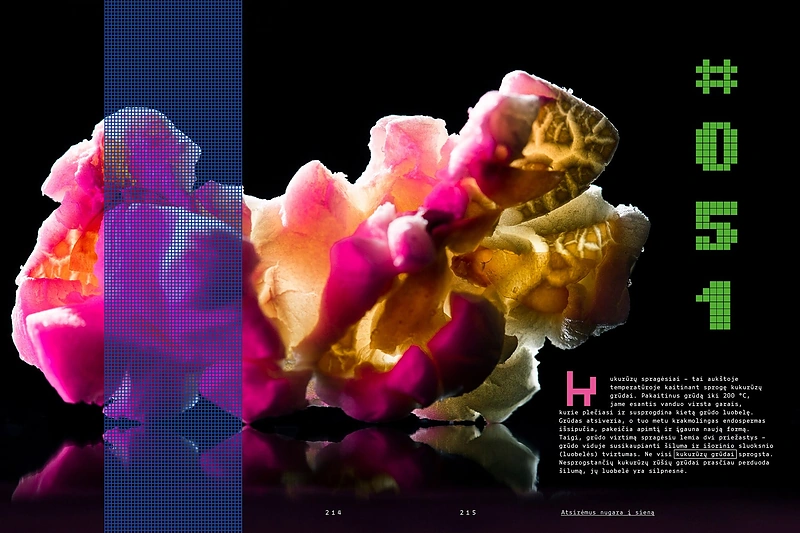 Alfo Ivanausko knyga „Malda skoniui“ / Asmeninio albumo nuotr.