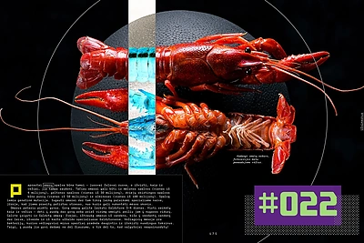 Alfo Ivanausko knyga „Malda skoniui“ / Asmeninio albumo nuotr.