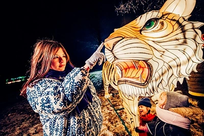 Šviesų festivalis „Džiunglių knyga“ / Lauryno Trimonio nuotr.