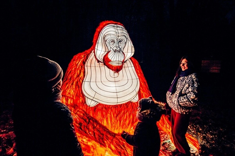 Šviesų festivalis „Džiunglių knyga“ / Lauryno Trimonio nuotr.