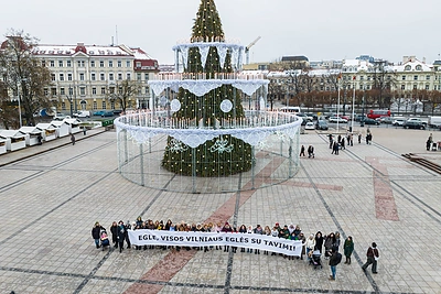 Akcija „Visos Vilniaus Eglės palaiko kalėdinę Vilniaus eglę“ / Ado Vasiliausko nuotr.