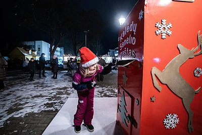 Druskininkų Kalėdų eglutės įžiebimas / Justino Kygos nuotr.