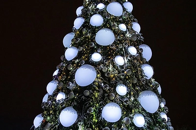 Kalėdų eglės įžiebimas Šiauliuose / Rolando Parafinavičiaus nuotr.