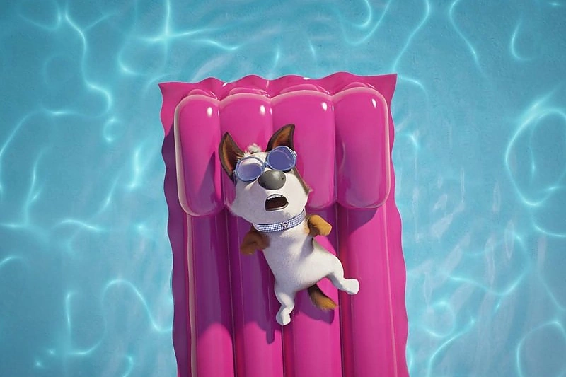 ŠUNIŠKAS POKŠTAS / Atstovų nuotr.