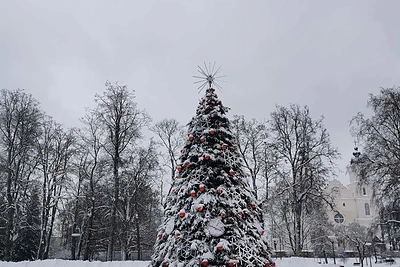 Zarasų kalėdinė eglė / Gyčio Markevičiaus nuotr.
