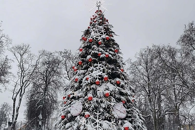 Zarasų kalėdinė eglė / Gyčio Markevičiaus nuotr.