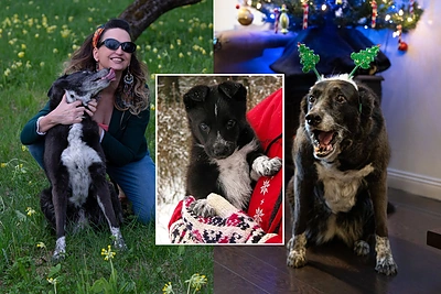 Jurga Anusauskienė išgyvena Jumos netektį: „Buvai nuostabiausias kalėdinis stebuklas“